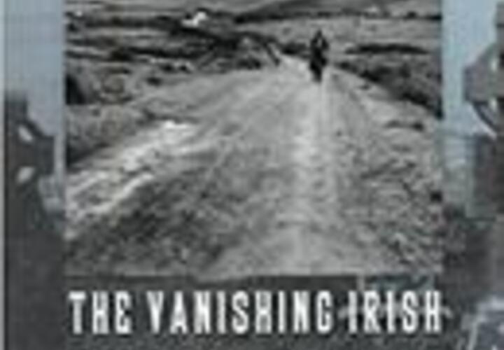 Guinnane - The Vanishing Irish Book Cover