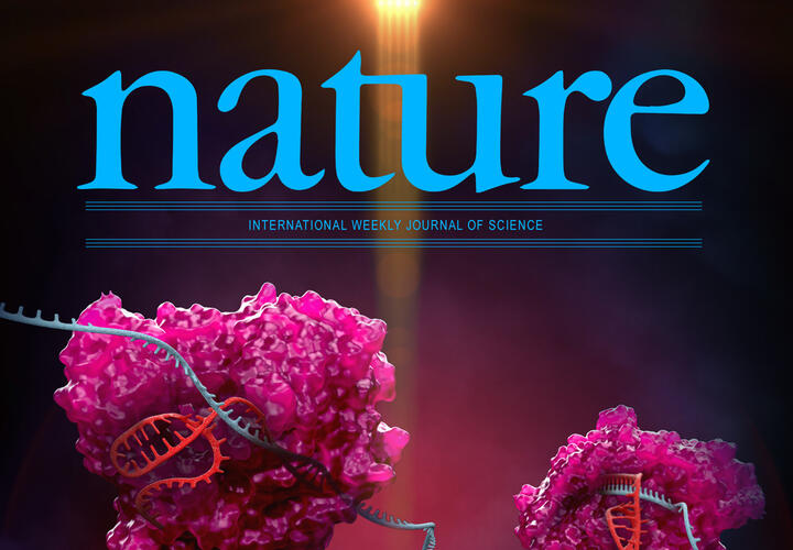 Logo of the journal Nature